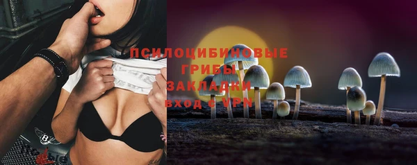 стафф Алзамай