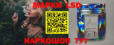 шишки Пугачёв