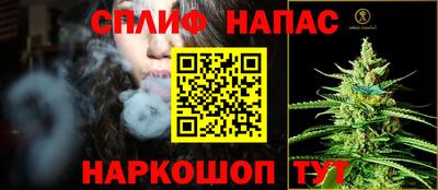 шишки Пугачёв