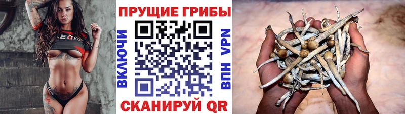 Галлюциногенные грибы MAGIC MUSHROOMS  Отрадное 