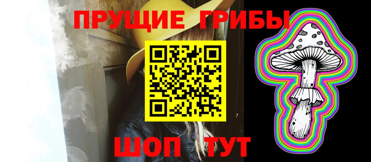 Отрадное  Псилоцибиновые грибы MAGIC MUSHROOMS  Вход с VPN 
